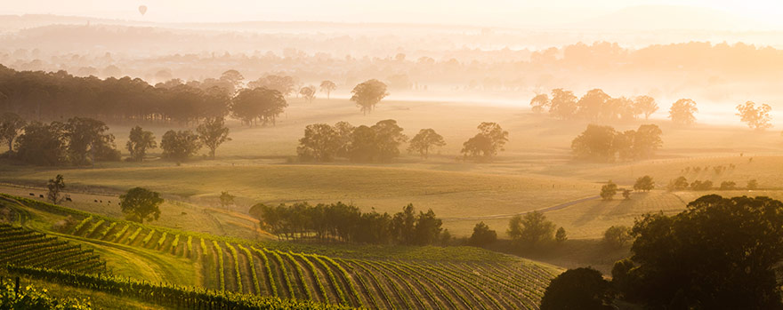 Australian Wine Region Geelong